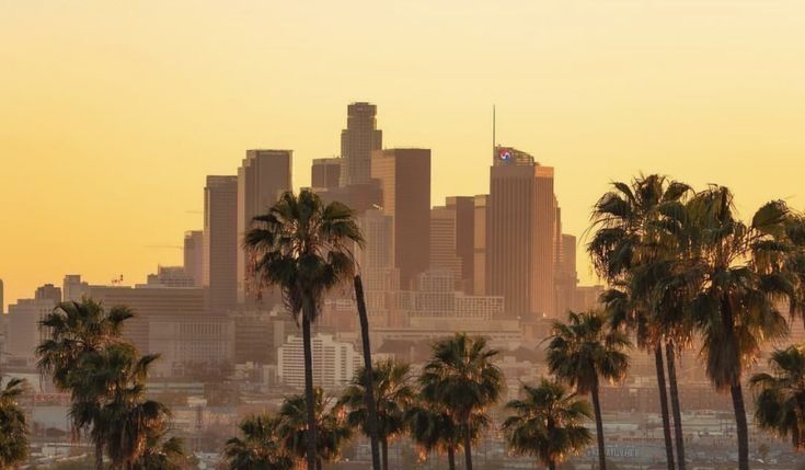 In store pickup now available